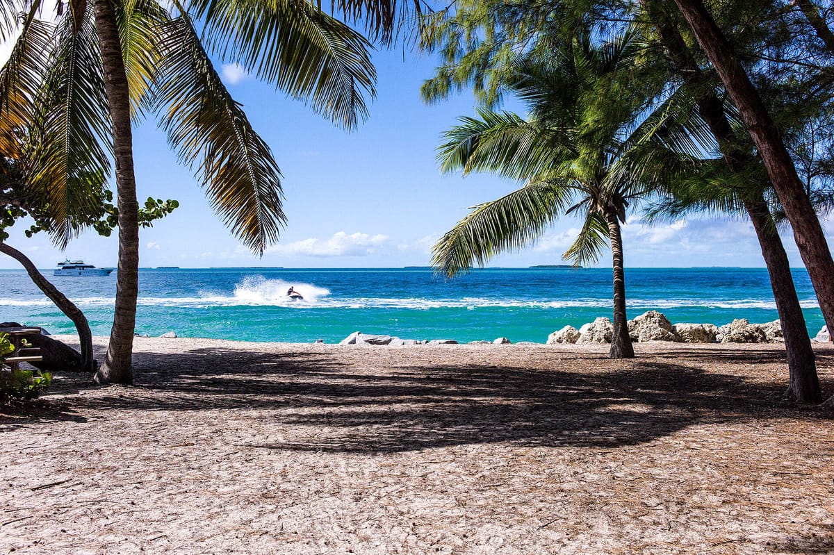 Jet ski framed by palm trees